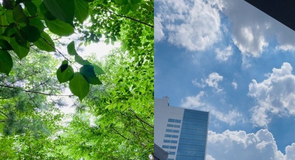 * 해마다 환경보호에 40조원 이상이 사용되고 있다. 정부 한 해 살림의 8% 가량이 오수 등 폐기물 관리와 대기 오염 방지 등에 쓰여지고 있다. 