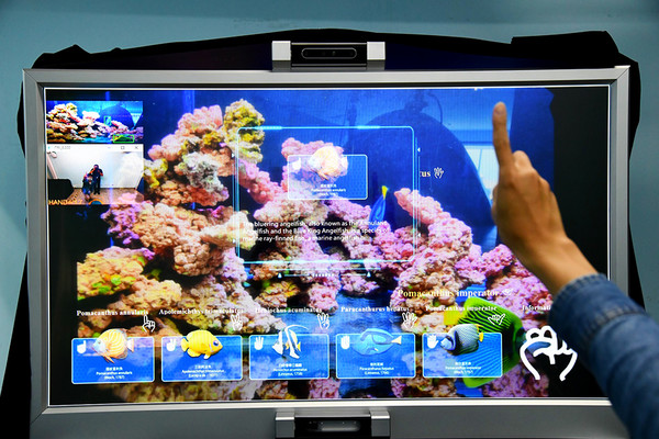    * AI 아쿠아리움은 관람객의 몸짓에 따라 수종 정보를 표시한다.