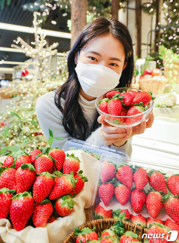 * 현대백화점에서 판매중인 신품종딸기 '홍희'