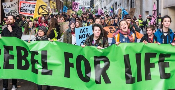  * 에코사이드를 법제화할 것을 주장하는 시위 현장. 사진=SEI