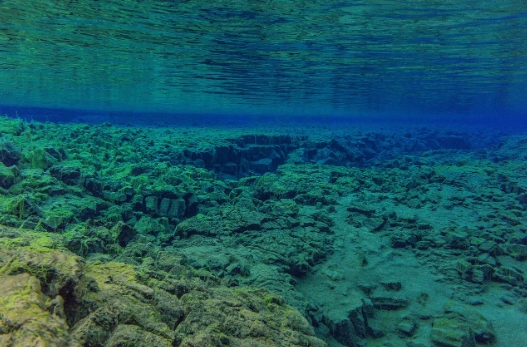  * 사진=픽사베이