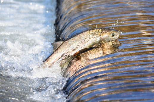 * 사진=픽사베이