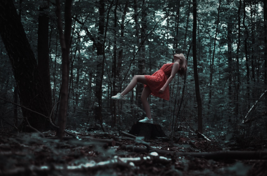  * 사진=픽사베이