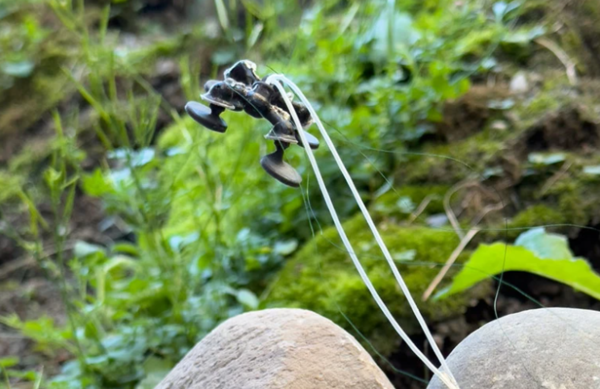 * 사진=캐머론 어빈 제공