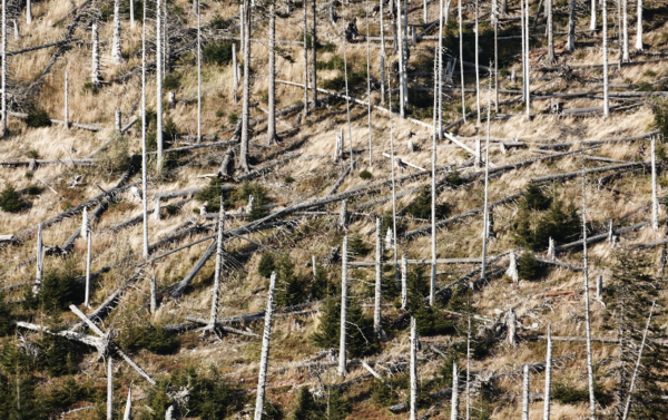  * 사진=픽사베이