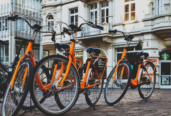  * 사진=픽사베이