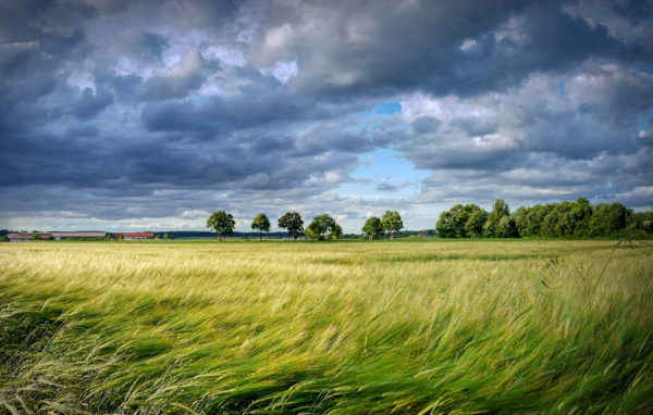  * 사진=픽사베이