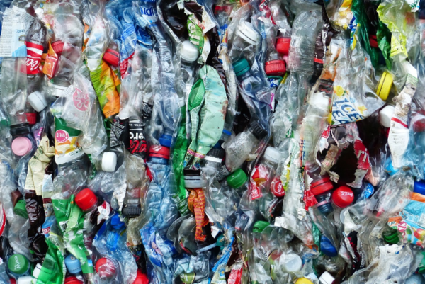  * 사진=픽사베이