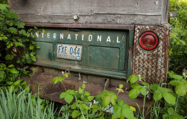  * 사진=픽사베이