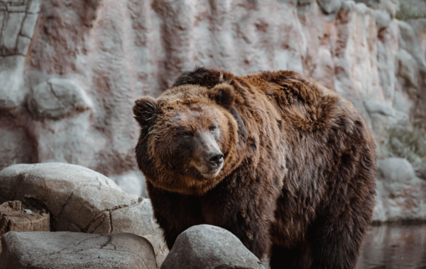  * 사진=픽사베이