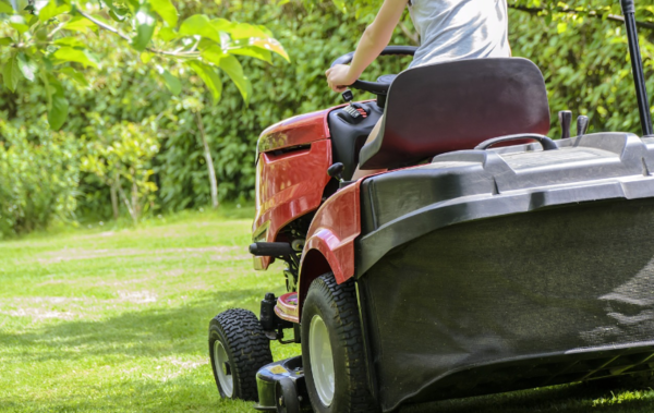 * 사진=픽사베이