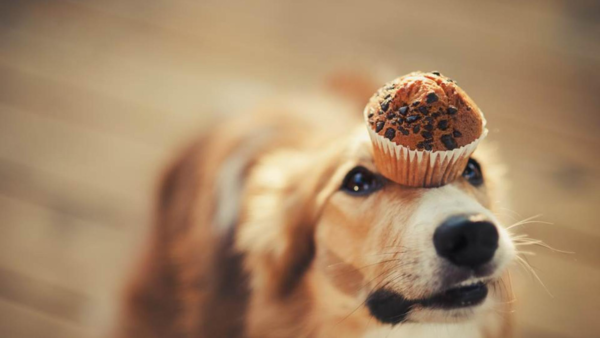  * 사진=더메이어EU via 디파짓포토