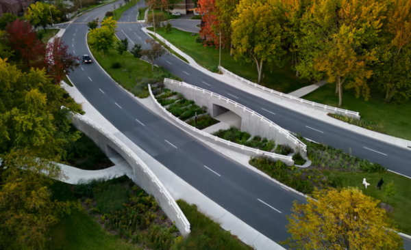  * 유리를 섞어 제조한 콘크리트로 건설한 다윈 브리지 전경. 사진=뉴아틀라스