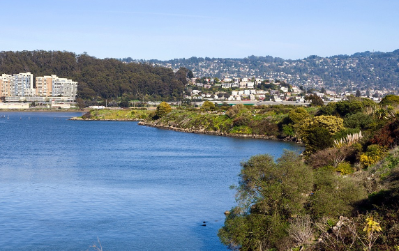 * 캘리포니아 알바니 전경. 사진=픽사베이