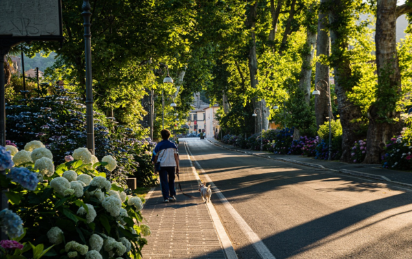 * 녹색 도시 이미지. 사진=픽사베이
