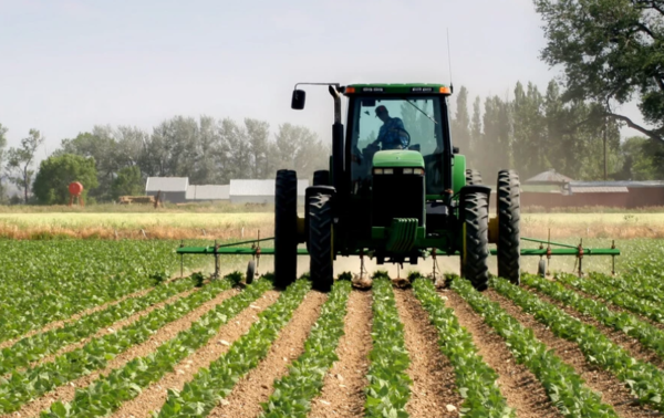 * 사진=세계경제포럼