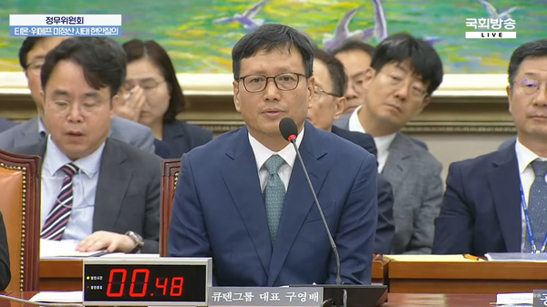 구영배 큐텐그룹 대표 [출처: 국회방송 유튜브 영상 갈무리]