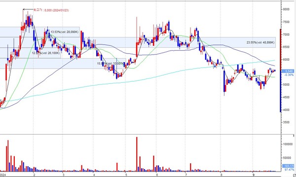  * 주가 일봉 차트