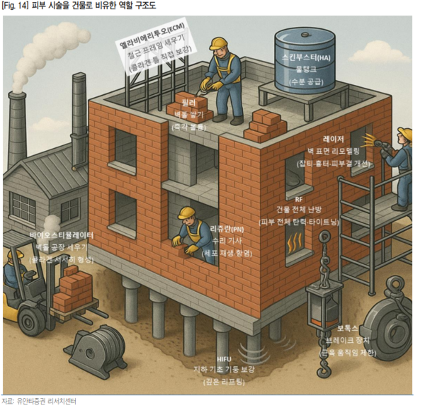 피부 시술을 건물로 비유한 역할 구조도. 유안타증권은 리쥬란은 수리용 벽돌, 리투오는 프레임으로 비유했다.